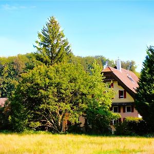 Nisihof, Landluft Bed and Breakfast Oberkirch Exterior photo