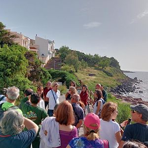 Aguadora Lejlighed Sant'Antìoco Exterior photo