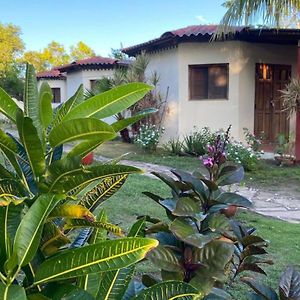 Room In Cabin - Cabana With Breakfast And Pool On The Beach Las Peñitas Exterior photo