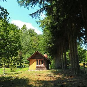 Planinska Kuca Palacinka Villa Despotovac Exterior photo