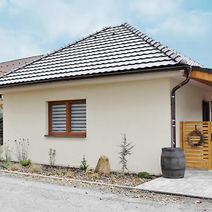 Penzion U Restaurace Na Koreji Hotel Štětí Exterior photo