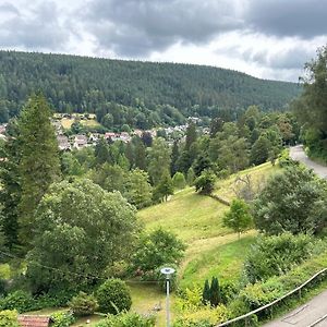 Wohn-Eitel Romantik Lejlighed Bad Wildbad Exterior photo