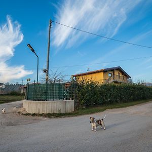 Roberta House Bed and Breakfast Isernia Exterior photo