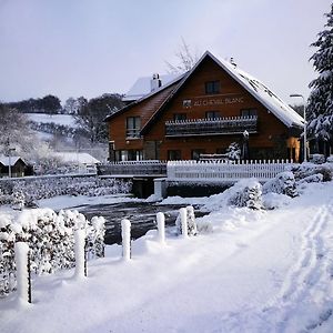 Au Cheval Blanc - Chalet De Montagne - 20 Personnes Lejlighedshotel Waimes Exterior photo