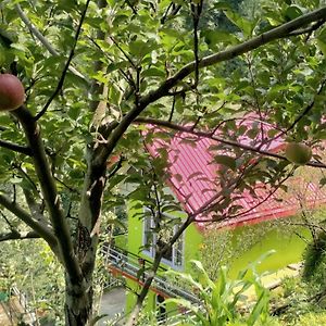 Apple Blossom Hideaway Narkanda Lejlighed Shimla Exterior photo