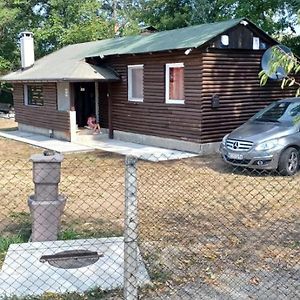 Vikendica Sofia Villa Zagubica Exterior photo