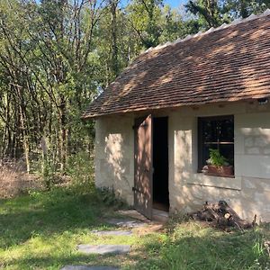 Immersion Dans Une Loge De Vigne Pensionat Ingrandes-de-Touraine Exterior photo