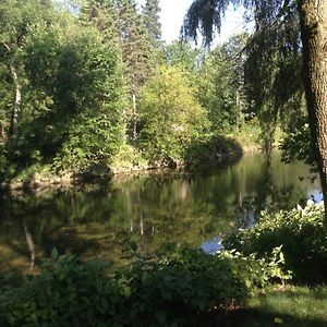 Nature In The Middle Of The City Lejlighed Québec Exterior photo