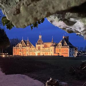 Chateau De Chevigny-En-Valiere Bed and Breakfast Exterior photo