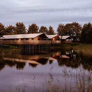 Luxe glamping tent Hotel Bant Exterior photo