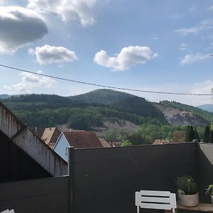 Le Duplex De L Ancienne Forge Villa Muhlbach-sur-Munster Exterior photo