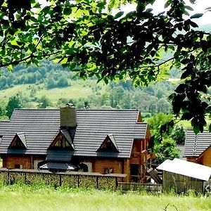 Приватна Садиба Дикий Мед Bed and Breakfast Ploskoye Exterior photo