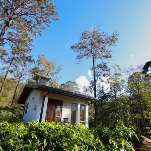 The Green Lush Hotel Pussellawa Exterior photo