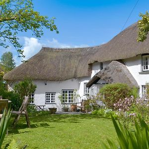 The Thatch Cottage South Petherwin Exterior photo