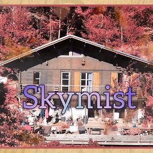 Skymist Maison D'Hotes Bed and Breakfast Biert Exterior photo