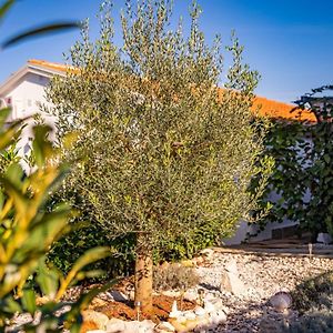 Carpe Diem In Kosinozici - Istrien Hotel Poreč Exterior photo