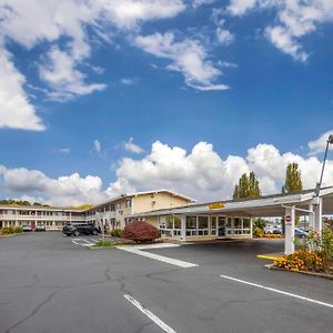 Rodeway Inn Albany Exterior photo