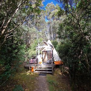 Huon Bush Retreats Villa Ranelagh Exterior photo