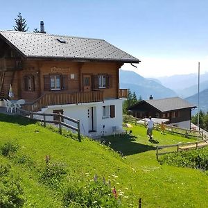 Chalet Adlerhorst Parterre 3,5 Zimmer Wohnung Rosswald Exterior photo