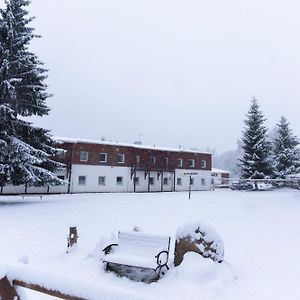 Penzion Dobik Pasecna Hotel Přední Výtoň Exterior photo