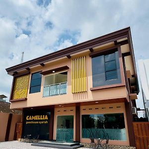 Camelia Guesthouse Syariah Pacitan Exterior photo