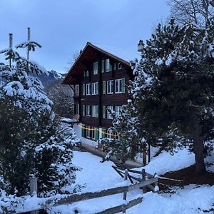 Chalet Schluecht Lejlighed Wengen Exterior photo