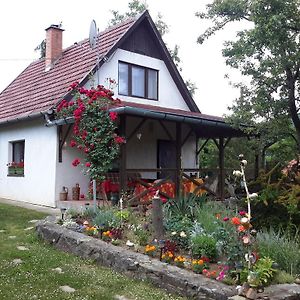 Szarvasko Szeruskert Vendeghaz Villa Exterior photo