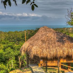 Villa Maria Tayrona, Jungle And Sea Experience Los Naranjos Exterior photo