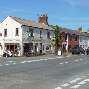 The Sycamore Tree Bed and Breakfast Longtown Exterior photo