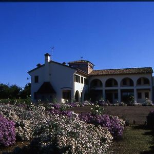 Agriturismo Due Torri Bed and Breakfast Montebelluna Exterior photo