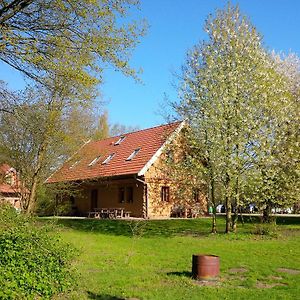 Ferienhof Idyll Am Kleinen Fliess Lejlighed Burg im Spreewald Exterior photo