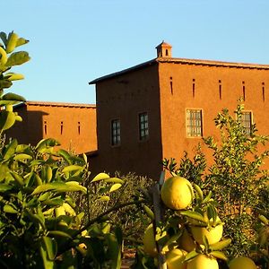 Dar Tasmayoun Pensionat Aït Ourir Exterior photo