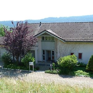 BnB Goldberg Bed and Breakfast Schmerikon Exterior photo