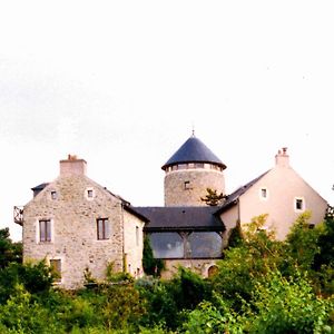 Au Moulin Geant Bed and Breakfast Rochefort-sur-Loire Exterior photo