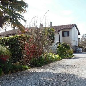 Al Pic De Corone Bed and Breakfast Terzo d' Aquileia Exterior photo