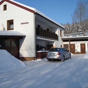 Haus Steinwaldblick Lejlighed Bernlohe  Exterior photo