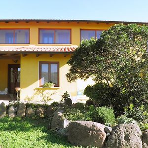 Casa Casti Bed and Breakfast Sant'Antonio de Santadi Exterior photo