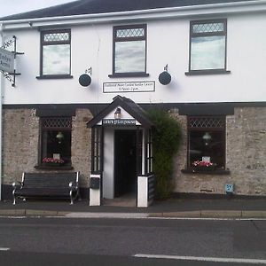 Emlyn Arms Bed and Breakfast Llanarthney Exterior photo