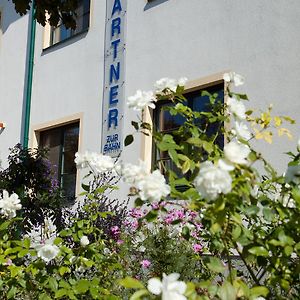 Pension Gartner Hotel Wallern im Burgenland Exterior photo