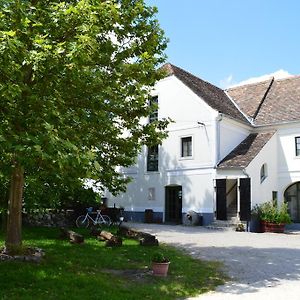 Edvy Malom Fogado Barokk Udvarhaz Hotel Pápa Exterior photo