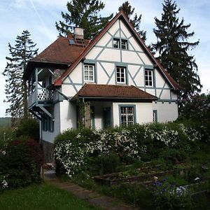 Das Alte Forsthaus Lejlighed Geisenheim Exterior photo