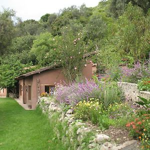 Andean Spirit Lodge Limatambo Exterior photo