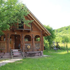 Saduba Kozatska Detsa Villa Zhdenijevo Room photo