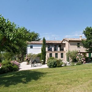 Vigna Sant' Amico Country House Lejlighed Morro dʼAlba Exterior photo