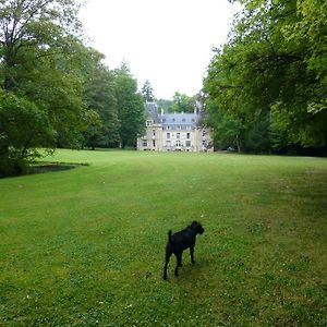 Chateau De La Raffe Villa Naix-aux-Forges Exterior photo