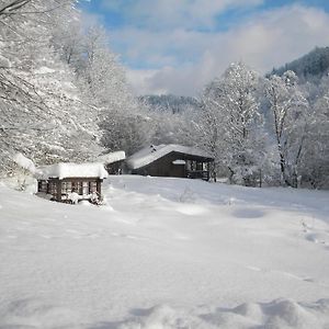 Chalet Kukavica Villa Zhdenijevo Exterior photo