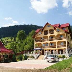 Pensiunea Alunis Hotel Sadova  Exterior photo