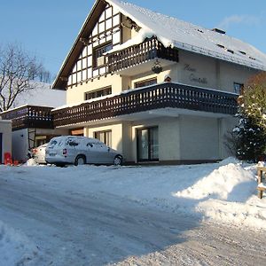 Haus Cristallo Lejlighed Olsberg Exterior photo