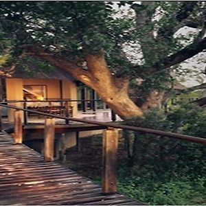 The River Lodge At Thornybush Thulamahashi Exterior photo