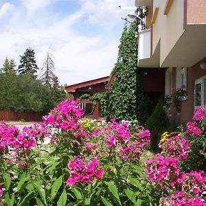 Guest House Zodiac Samokov Exterior photo